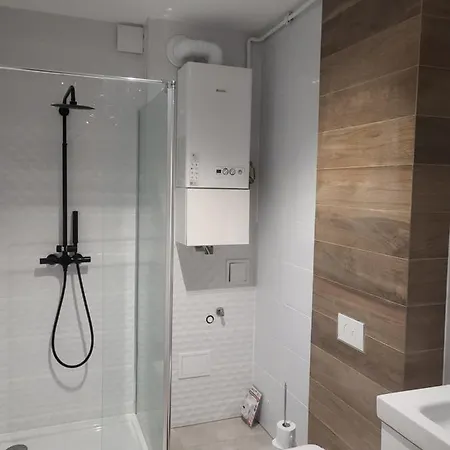Apartment Lesny Zakatek