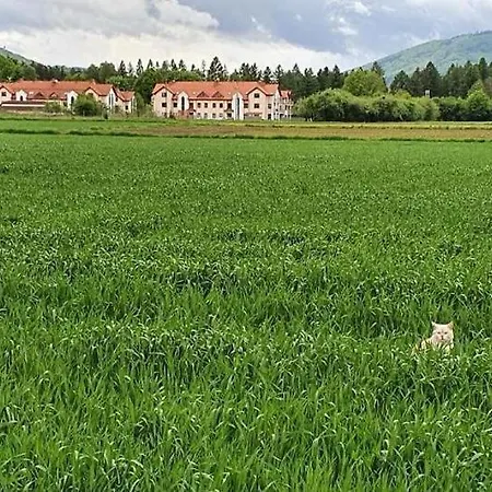 Lesny Zakatek 公寓