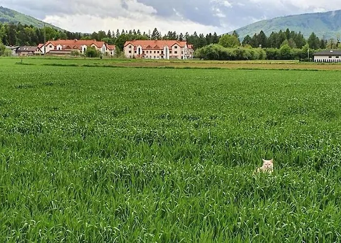 Lesny Zakatek Διαμέρισμα